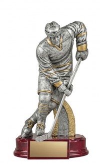 (image for) Male Hockey Award - 8"